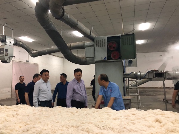 1558347162118638.jpg 2.jpg