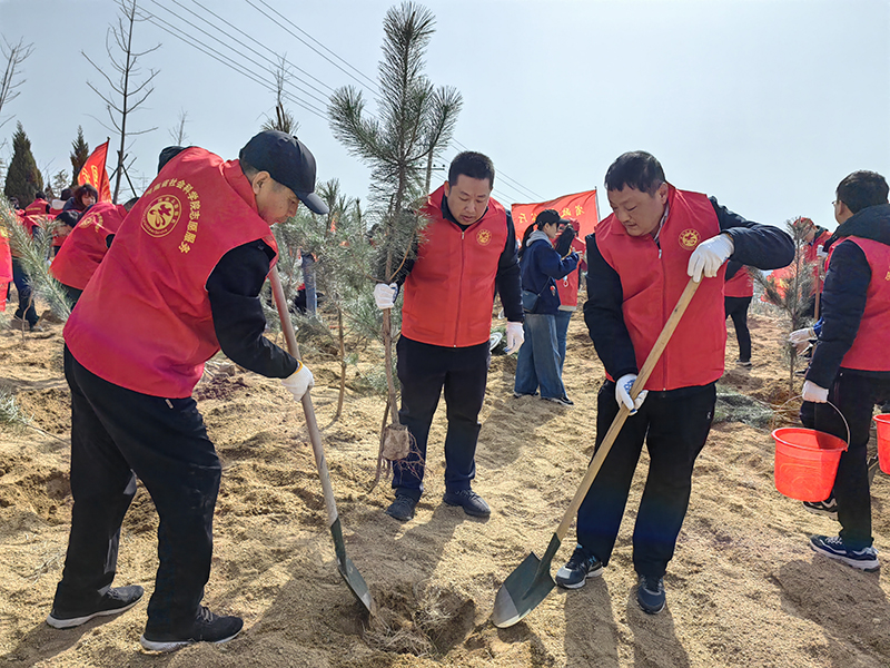 1710226332943342.jpg fileUpload (2)111.jpg